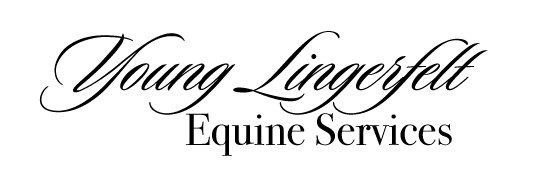 Young Lingerfelt Equine Services